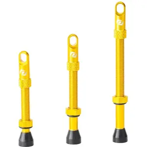 Syncros Soupapes Tubeless pas cher