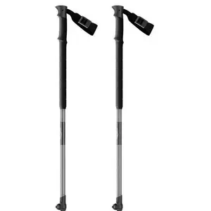 Scott Bâtons AluguideVendu parbol