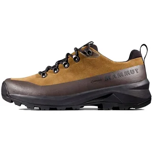 Mammut Chaussures De Randonnée Ducan Iii Low Lth Gore-tex® pas cher