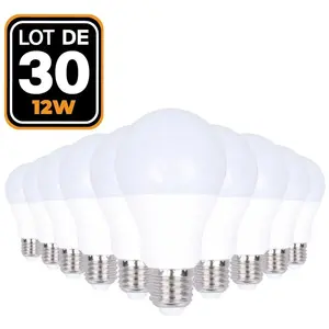 Ampoules LED E27 - EUROPALAMP - 12W - 6000K - Lot de 30 - Haute Luminosité pas cher