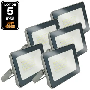 EUROPALAMP 5 Projecteurs LED 30W ProLine Blanc neutre 4000K Haute Luminosité