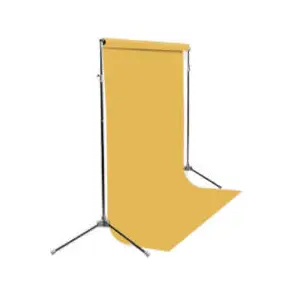 BD fond studio en papier Jaune 128 Straw 2.72 x 11 m pas cher
