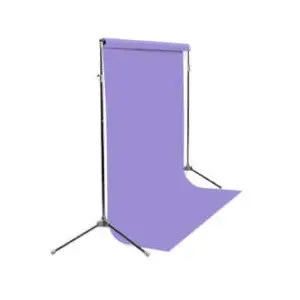 BD fond studio en papier 133 Violet 2.72 x 11 m pas cher