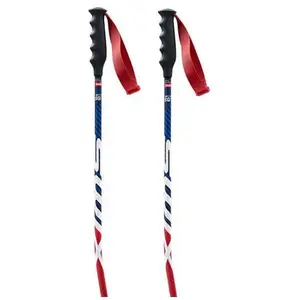 Swix Bâtons World Cup Pro Sg Carbon pas cher