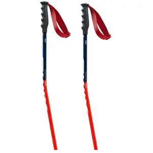 Swix Bâtons World Cup Pro Donwhill pas cher