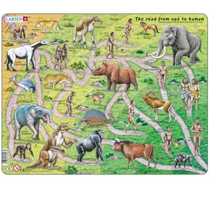 Larsen Puzzle Cadre - The Road From Ape to Human (en Anglais) HL3-GB pas cher