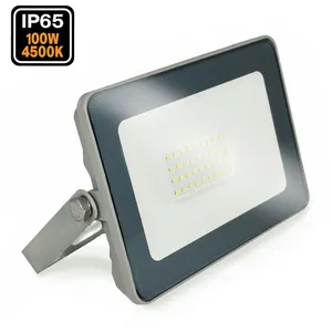 EUROPALAMP Projecteur led 100W ProLine 4000K Haute LuminositéVendu parcdiscount
