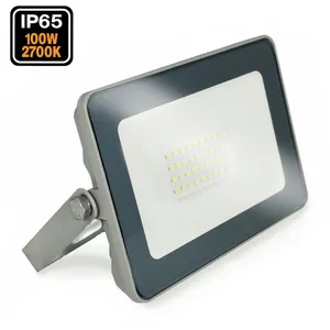 EUROPALAMP Projecteur led 100W ProLine 3000K Haute Luminosité