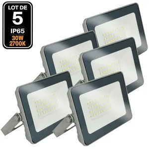 EUROPALAMP 5 Projecteurs led 30W ProLine Blanc chaud 3000K Haute Luminosité