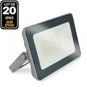 Europalamp - 20 Projecteurs led 30W ProLine Blanc chaud 3000K Haute Lu...Vendu parcdiscount