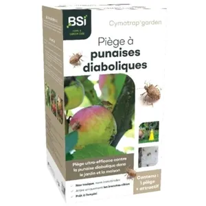 BSI Cymatrap - Piège Anti Punaises Diaboliques - Avec Recharges 8 Semaines dAttractivité - Sans Insecticide Jardin & Maison pas cher