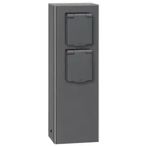 017 colonne de prise graphite 2 prises LCD 017 pas cher