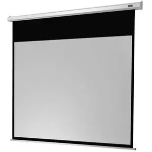 Ecran projection Celexon Economy Motorisé 300x169 pas cher