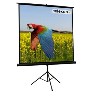 Ecran de projection - CELEXON - Sur pied - 244 x 244 cm - Gain 1.0 - F... pas cher