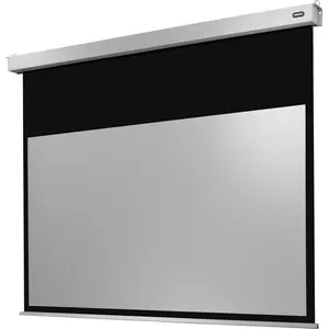 Écran de projection motorisé celexon PRO Plus 220 x 137 cm pas cher