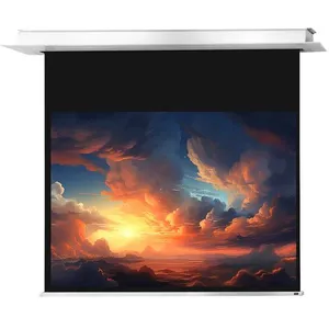 Écran encastrable au plafond motorisé celexon PRO Plus 160 x 120 pas cher