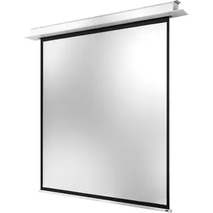 Comparateur de prix : Écran encastrable au plafond motorisé celexon PRO Plus 200 x 200