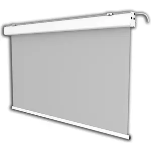 Écran de projection motorisé celexon Expert 300 x 187 cm Écran de proj... pas cher
