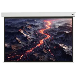 Ecran de projection celexon motorisé PRO PLUS sur batterie V2.0 200 x ...Vendu parcdiscount