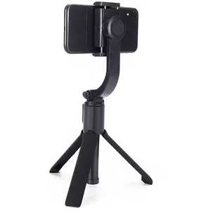 Easypix GoXtreme GS1 Cardan 1 axe pas cher