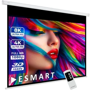 ESMART Professionnel MIMOTO Écran de Projection Moteur 280 x 210 cm (1...