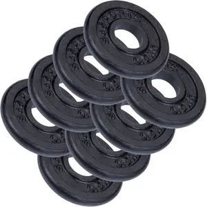 Disques de musculation en fonte 2 20 kg 4 KG (8 x 0.5 KG) ScSports pas cher