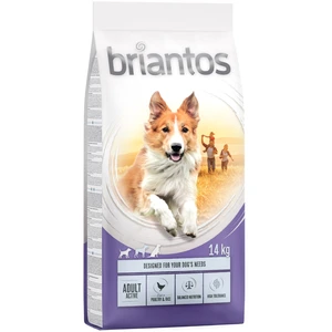 14kg Adult Active Briantos - Croquettes pour chien pas cher