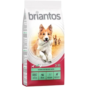 14kg Adult agneau, riz Briantos Croquettes pour chien : -15 % ! pas cher