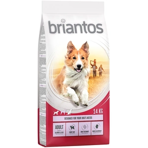14kg Adult saumon, riz Briantos - Croquettes pour chien pas cher