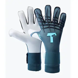 Comparateur de prix : T1tan Gants De Gardien De But Petrol Beast 3.0