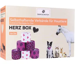 6 x boîte de pansements autocollants Coeur PAWS & PATCH, pour chien pas cher