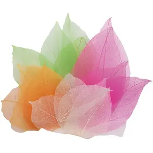 Eduplay magnolia bladeren speelset - 300 stuks - natuurlijk speelgoed.