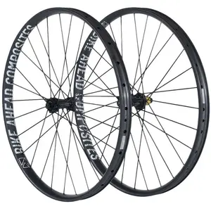 Bike Ahead Roue Arrière De Vtt Three Zero Xc 29´´ Dt Swiss 240 Disc Tu... pas cher