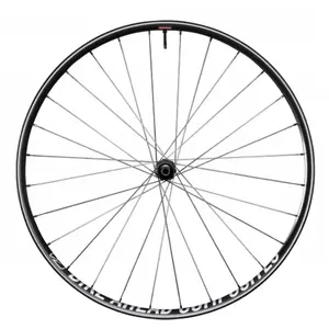 Bike Ahead Roue Avant Vtt Three Zero Xc 29´´ Dt Swiss 240 Disc Tubeless pas cher