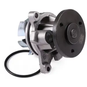 Waterpomp P251 Hepu pas cher