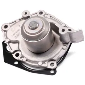 Waterpomp P957 Hepu pas cher