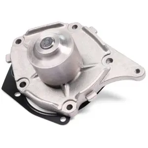 Waterpomp P958 Hepu pas cher