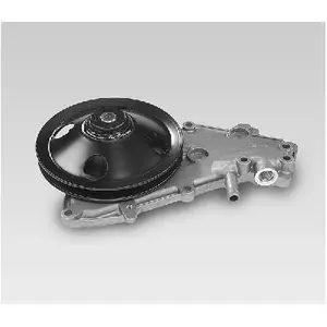 Waterpomp P832 Hepu pas cher