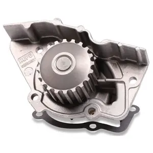 Waterpomp P836 Hepu pas cher