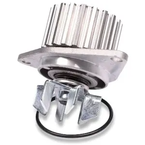 Waterpomp P813 Hepu pas cher