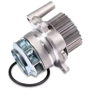 Waterpomp P587 Hepu pas cher