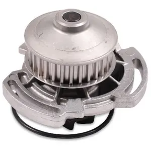 Waterpomp P533 Hepu pas cher