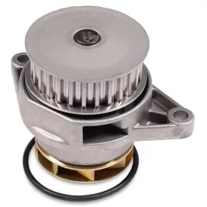 Waterpomp P540 Hepu pas cher