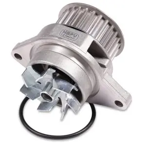 Waterpomp P556 Hepu pas cher