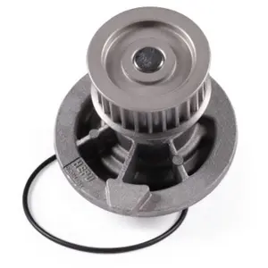 Waterpomp P316 Hepu pas cher