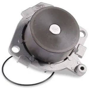 Waterpomp P1087 Hepu pas cher