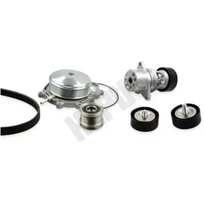 Multiriem set + waterpomp PK15130A Hepu pas cher