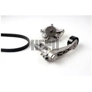 Hepu Waterpomp + multiriemsetVendu parwinparts