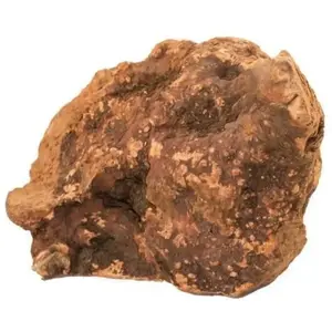 BUBIMEX Racines m (150-300g) pas cher