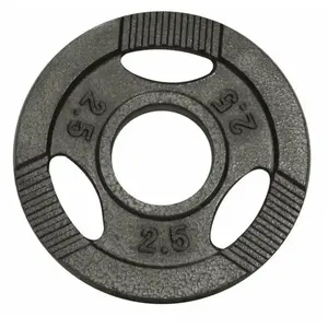 Comparateur de prix : GORILLA SPORTS Poids olympiques en fonte avec poignées de 2,5 kg - 51 mm - gris